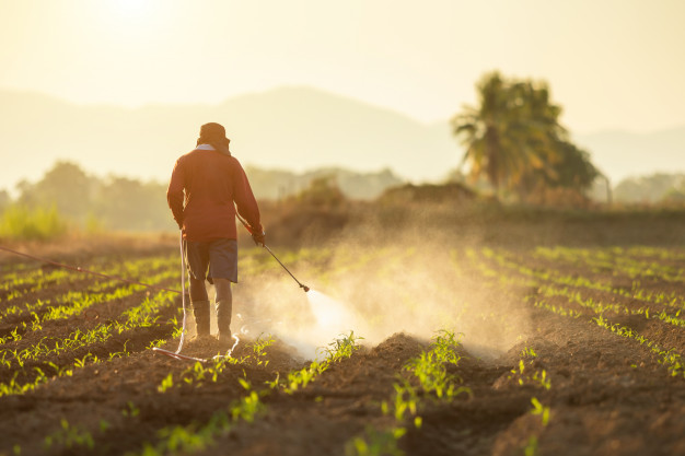 Types and uses of pesticides