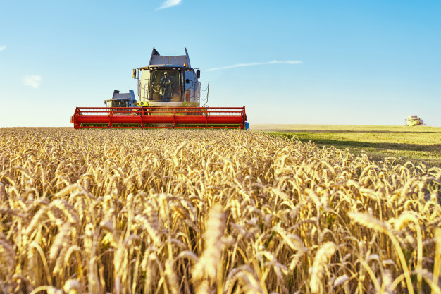 Evolution of Agriculture in India