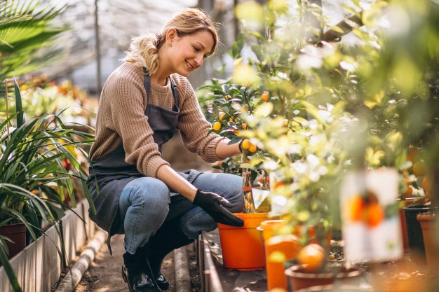 With this blog, we are going to relieve you off some stress and steer you in the right direction with our 9 home garden tips for the beginners.