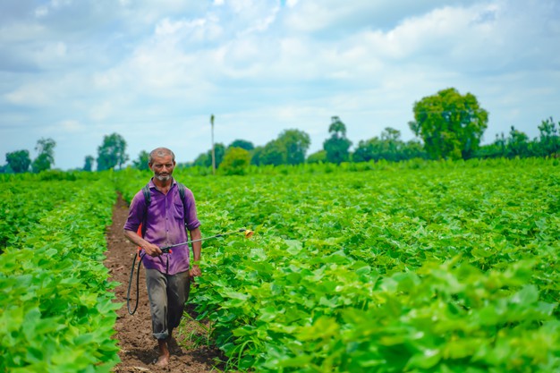 Interesting Facts About Indian Agriculture.