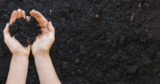 What is a fertilizer?