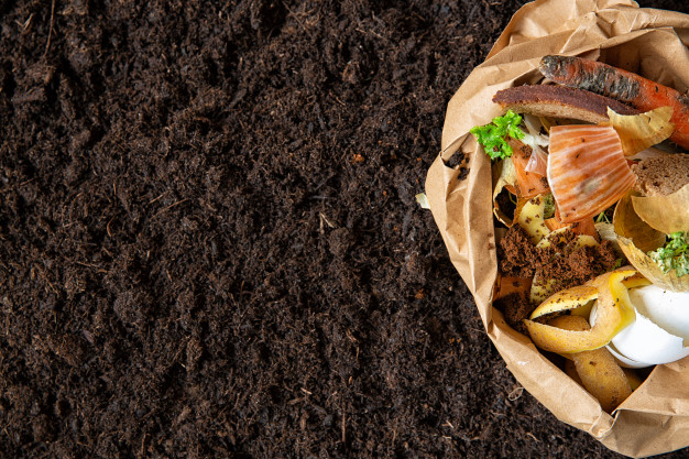 Composting at Home: Your Guide to Better Fertilizer